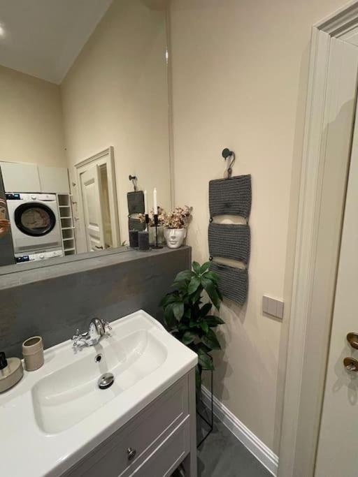Lucrib Apartment Cluj-Napoca Ngoại thất bức ảnh